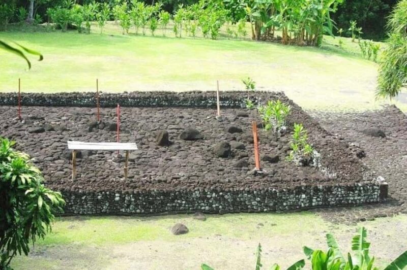 Tahiti: West and East Coast Island Tour with Waterfalls - The Experience We Loved