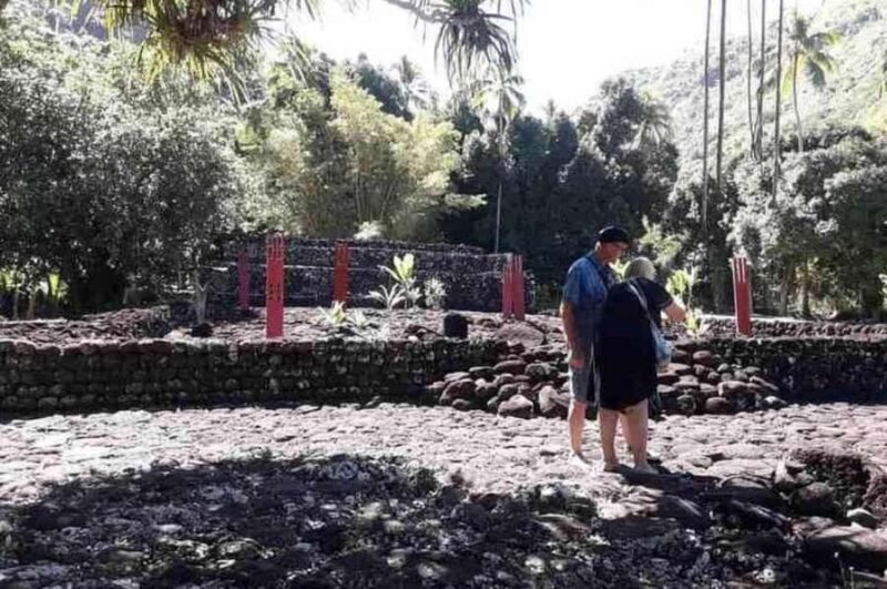 Tahiti: West and East Coast Island Tour with Waterfalls - Who Is This Tour Best For?