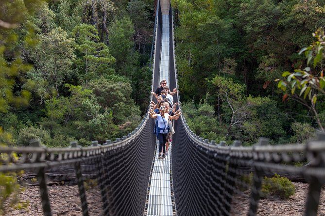 Tahune Airwalk & Hastings Cave Active Day Tour from Hobart - An In-Depth Look at the Tour Experience