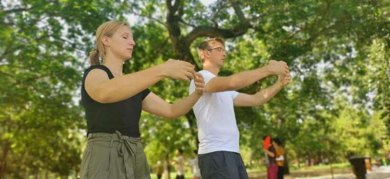 tai-chi-or-kung-fu-plus-chinese-calligraphy-learning-class