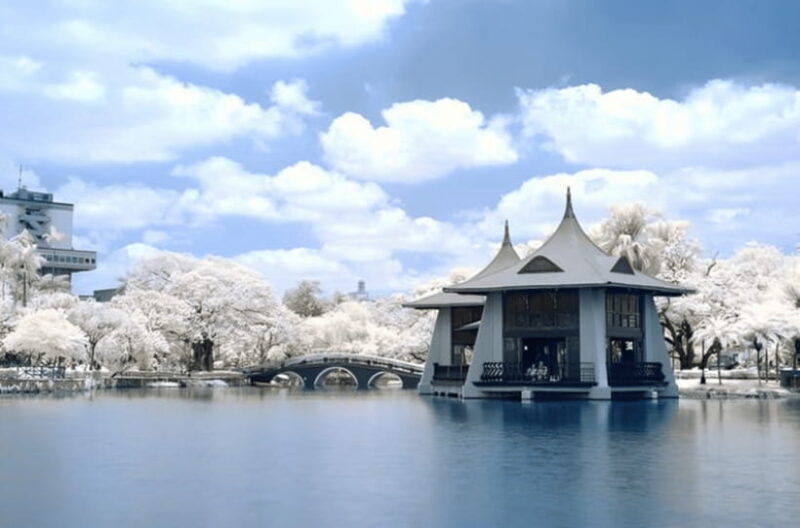 taichung-city-sightseeing-walking-tour-with-a-local-guide