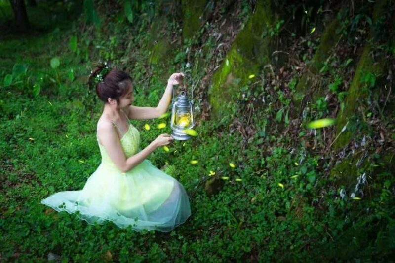 Taichung: Xitou Forest, Lukang, and Rainbow Village Tour - Who Is This Tour Best For?