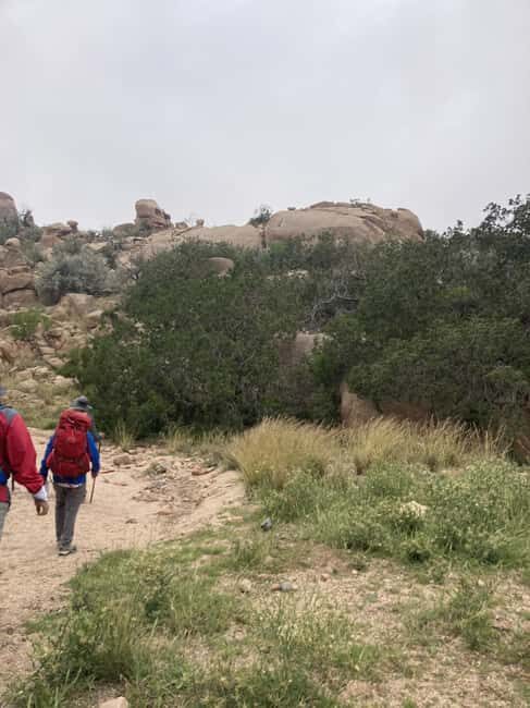 Taif: Al-Makhadah Valley Hiking Tour with Snacks - Wildlife and Nature