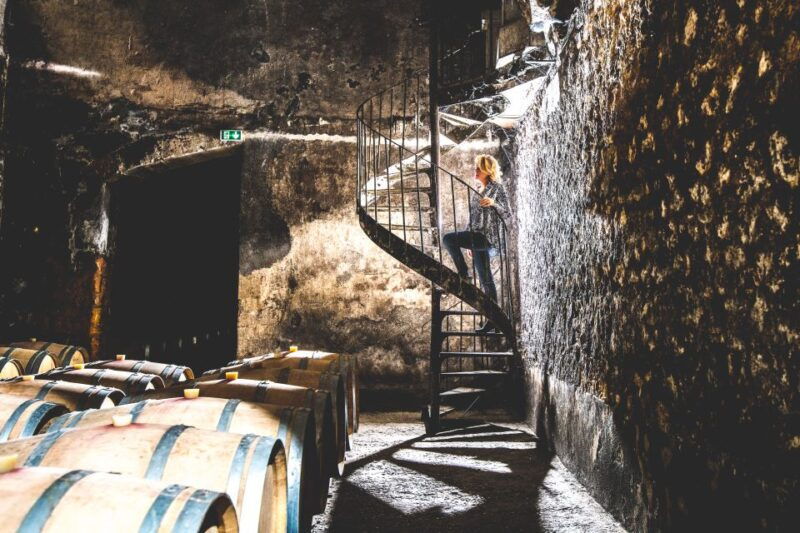taillan-medoc-chateau-visit-and-wine-tasting-in-bordeaux