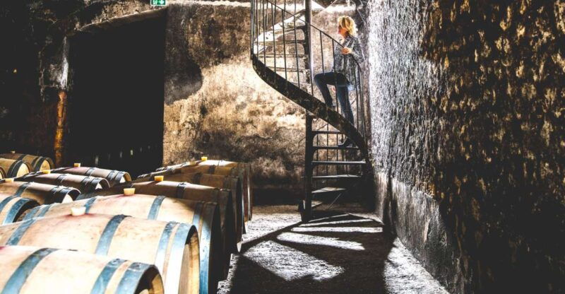 taillan-medoc-chateau-visit-and-wine-tasting-in-bordeaux