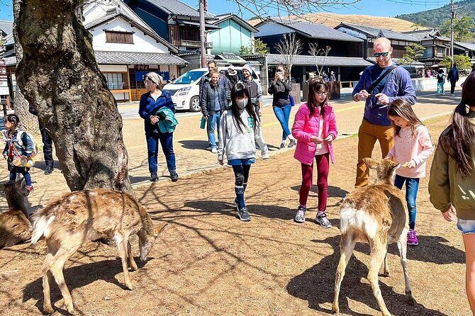 Tailor Made 13 Days Japan Family Vacation for Your Kids - Key Points