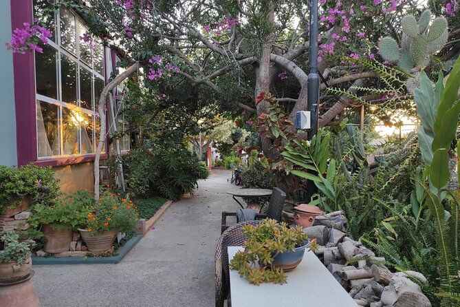 tailor-made-private-shore-excursion-discover-chania-your-way