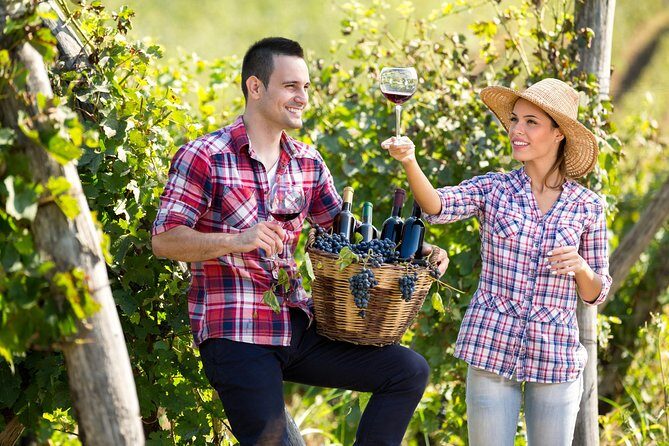 Tailor made Stellenbosch & Franschhoek Winelands Full day Tour. - DeMorgenzon Winery: The First Sips