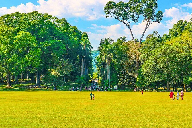 Tailor Made Two Weeks Sri Lanka Holiday with History and Culture - Final Thoughts