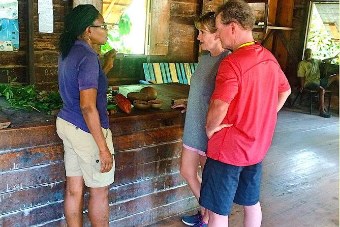 tailored-taxi-sightseeing-tour