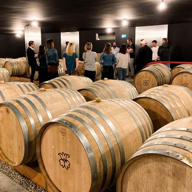Tain l'Hermitage: Visit two wine estates and a Wine & Food Workshop - Who Would Love This Tour?