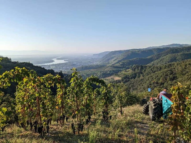 Tain l'Hermitage: Visit two wine estates and a Wine & Food Workshop - FAQ