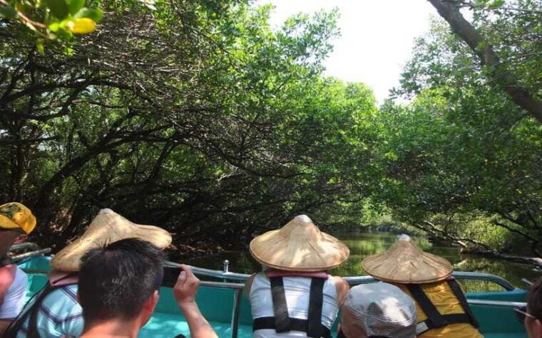 tainan-sicao-green-tunnel-scenic-boat-ride