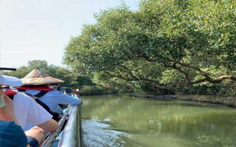 tainan-sicao-green-tunnel-scenic-boat-ride