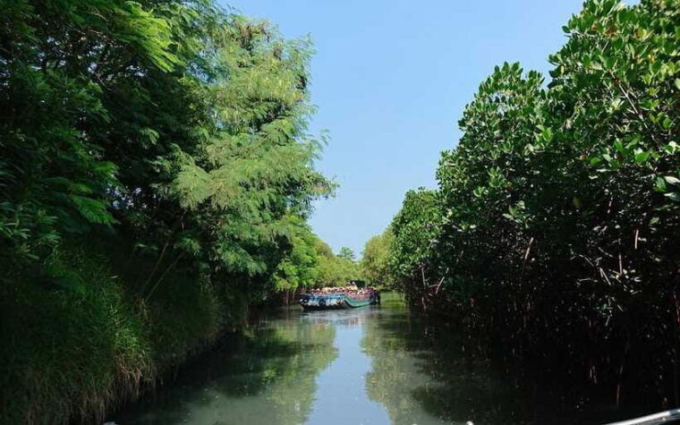 tainan-sicao-green-tunnel-scenic-boat-ride