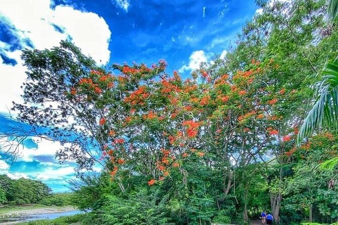 taino-bay-amber-cove-7-damajagua-waterfall-lunch-excursion