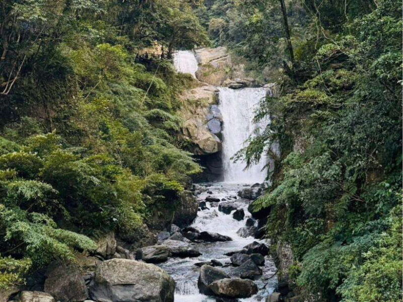 taipei-8-hours-private-day-tour-in-wulai-with-benz-vito