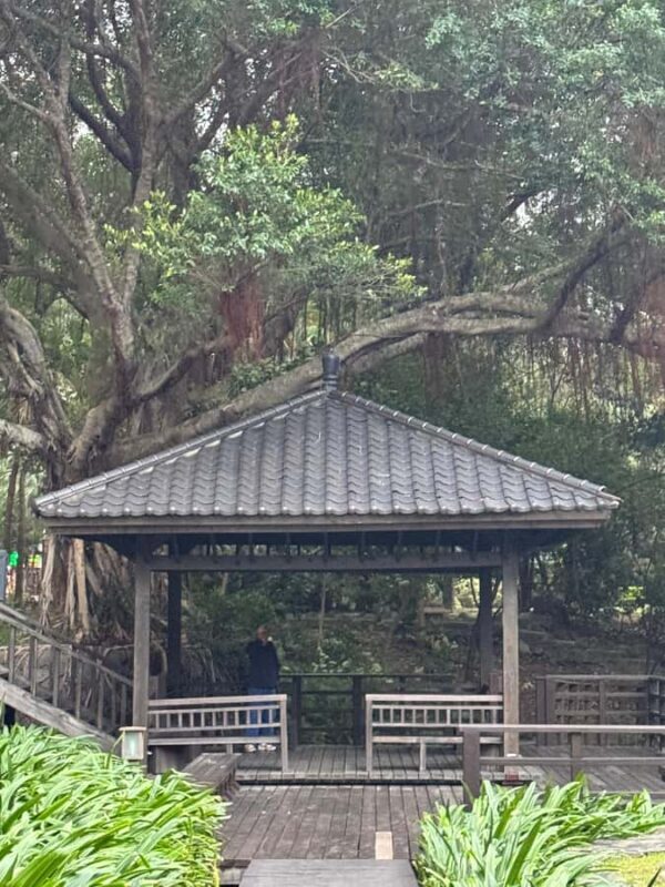 Taipei: Beitou Hot Springs and Heritage Walking Tour - FAQs