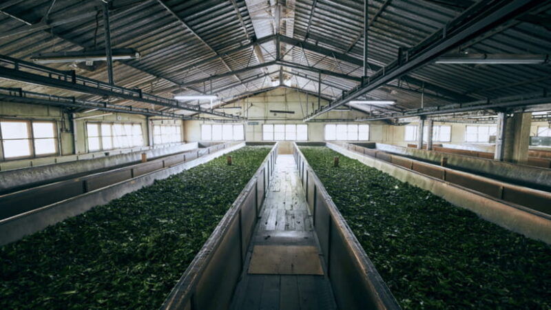 taipei-daxi-old-street-and-tea-factory-xiaowulai-day-tour