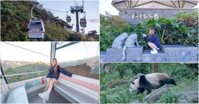 Taipei: Maokong Gondola, Zoo, and Keelung Day Trip - Taipei: Maokong Gondola, Zoo, and Keelung Day Trip — A Complete Guide