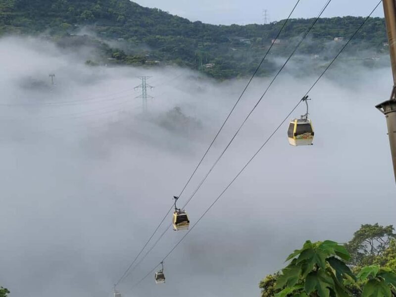 Taipei: Maokong Gondola & Zoo Combo Ticket with Train - Key Points