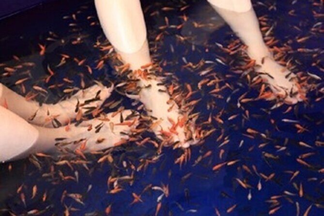 Taipei to Hualien Taroko Gorge and Yilan Jiaoxi Hot Spring Tour - Final Thoughts