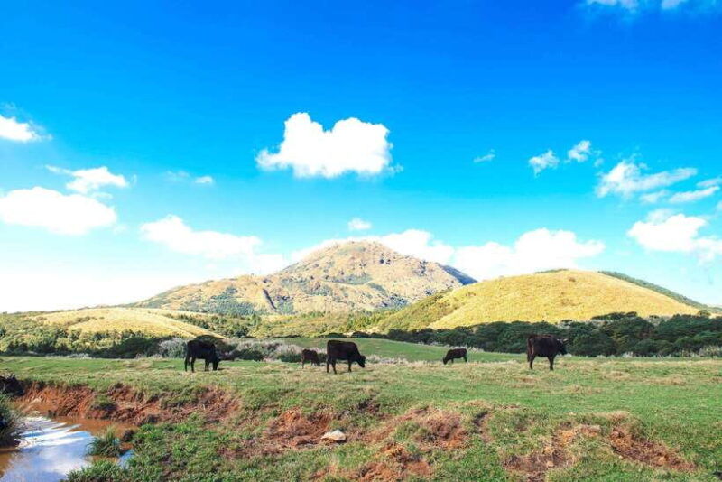 taipei-yangmingshan-beitou-full-day-tour