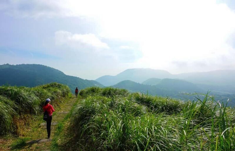 Taipei: Yangmingshan National Park Hiking Day Tour - Who is This Tour Best For?