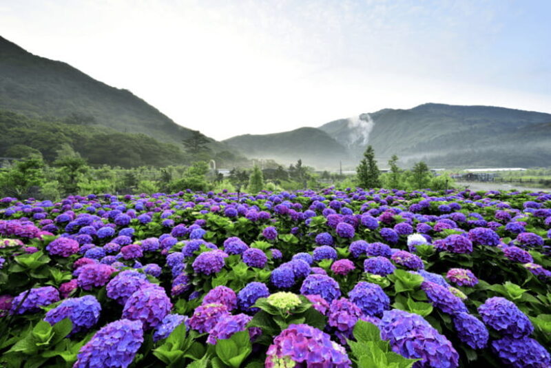 Taipei: Yangmingshan, Shifen, Jiufen & Yehliu Private Tour - Who Will Love This Tour?