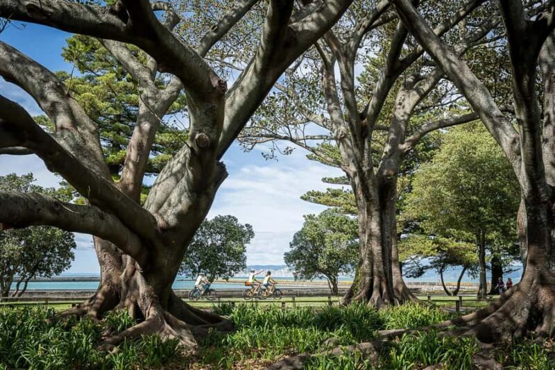 Tairwhiti Gisborne: Guided City Bike Tour - In-Depth Review: Exploring Gisborne’s Past on Two Wheels