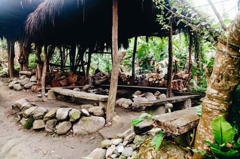 Taitung: Luan Mountain Forest Museum Guided Tour - Practical Tips for Your Visit