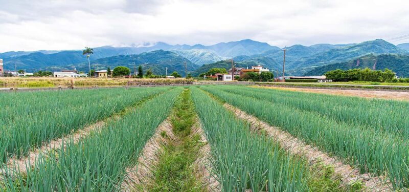 Taiwan: 10-Day Private Island Tour with 4-Star Hotels - Key Points