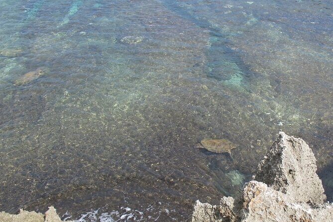 Taiwan Tour Bus Siao Liuchiu-Coral Island One Day Tour - Who Would Benefit Most from This Tour?