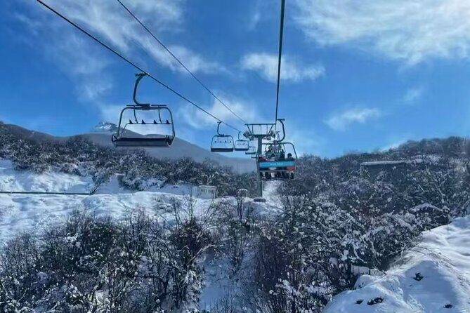 Taiziling Ski Resort Private Day Tour - Why Choose the Taiziling Ski Resort Private Day Tour?