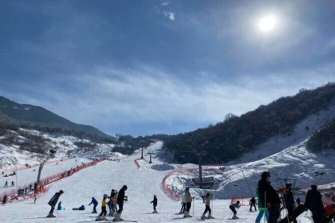 Taiziling Ski Resort Private Day Tour - What Reviewers Say About the Experience