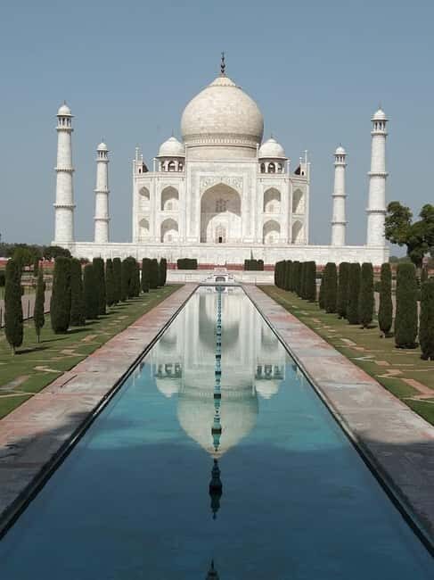 Taj Mahal and SOS Sanctuary: A Memorable Day from Delhi - Who Should Book This Experience?