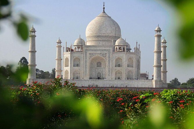 Taj Mahal Sunrise and Agra Fort Tour from Jaipur - Authentic Insights from Reviewers