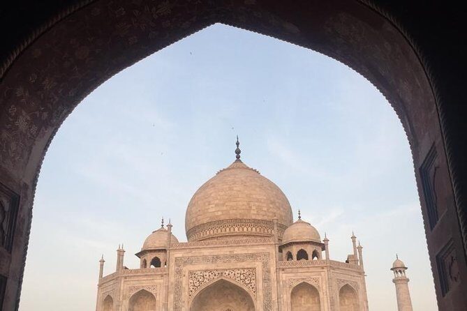 Taj Mahal tour with Elephant and Bear conservation center from Delhi - Key Points