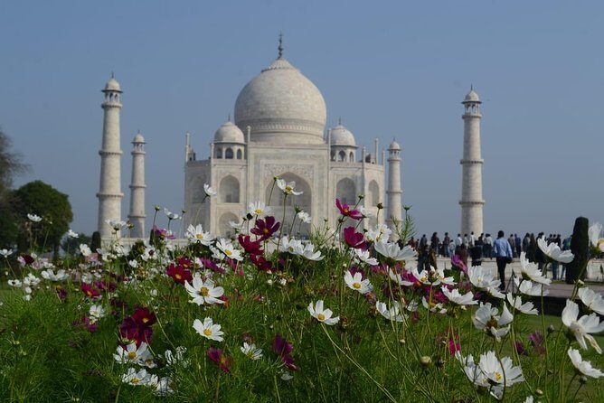 Taj Mahal tour with Elephant and Bear conservation center from Delhi - The Sum Up