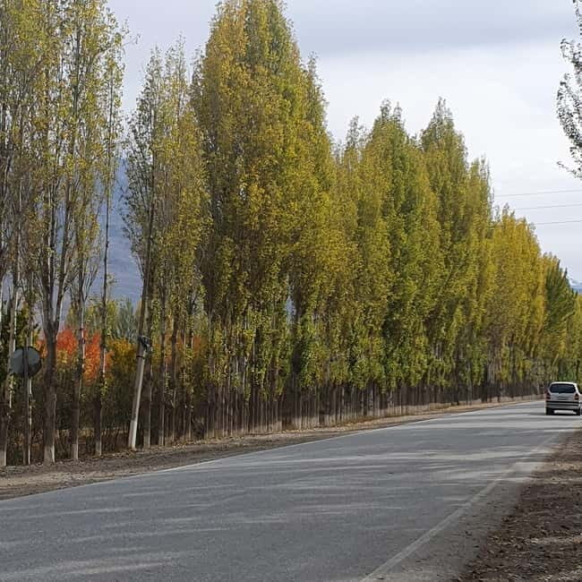 Tajikistan Seven Lakes Day TripFrom Samarkand - FAQs