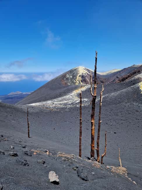 Tajogaite Volcano: the official route with a certified local guide - What to Expect from the Tour