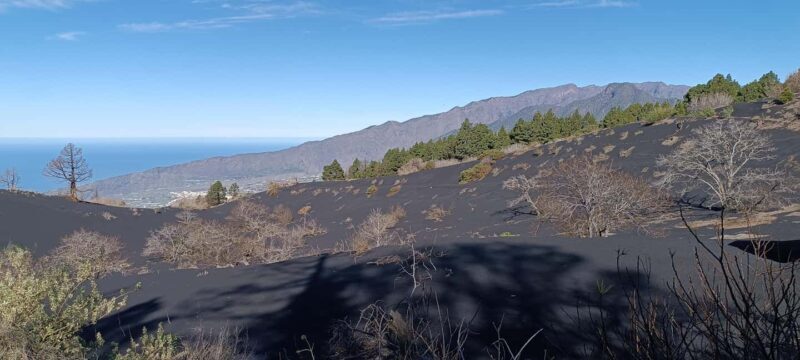 Tajogaite Volcano: the official route with a certified local guide - Authentic Experiences from Past Participants