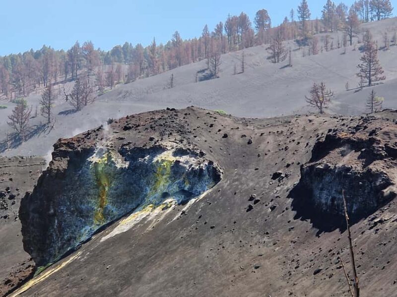 Tajogaite Volcano: the official route with a certified local guide - The Sum Up: Who Should Consider This Tour?