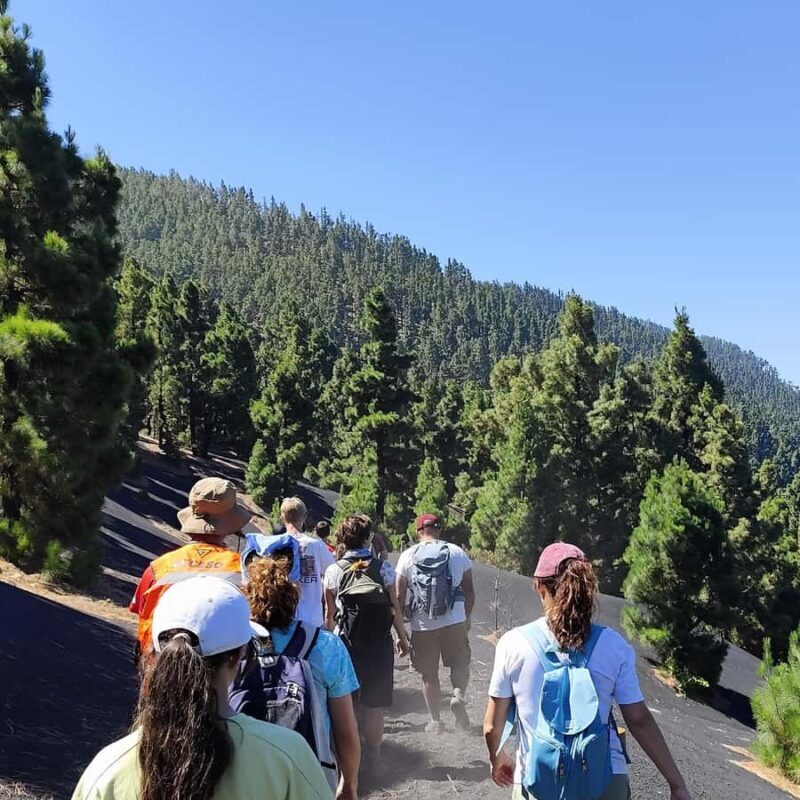 Tajogaite Volcano VIP Experience: Private Tour with Certified Tour Guide - Who Would Love This Tour?