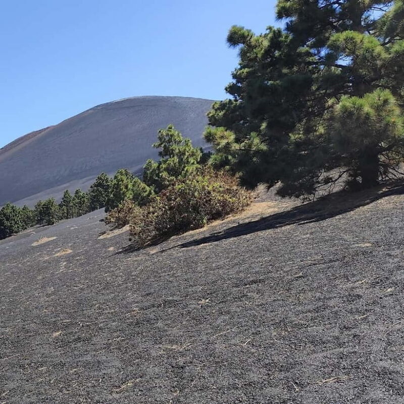 Tajogaite Volcano VIP Experience: Private Tour with Certified Tour Guide - Final Thoughts