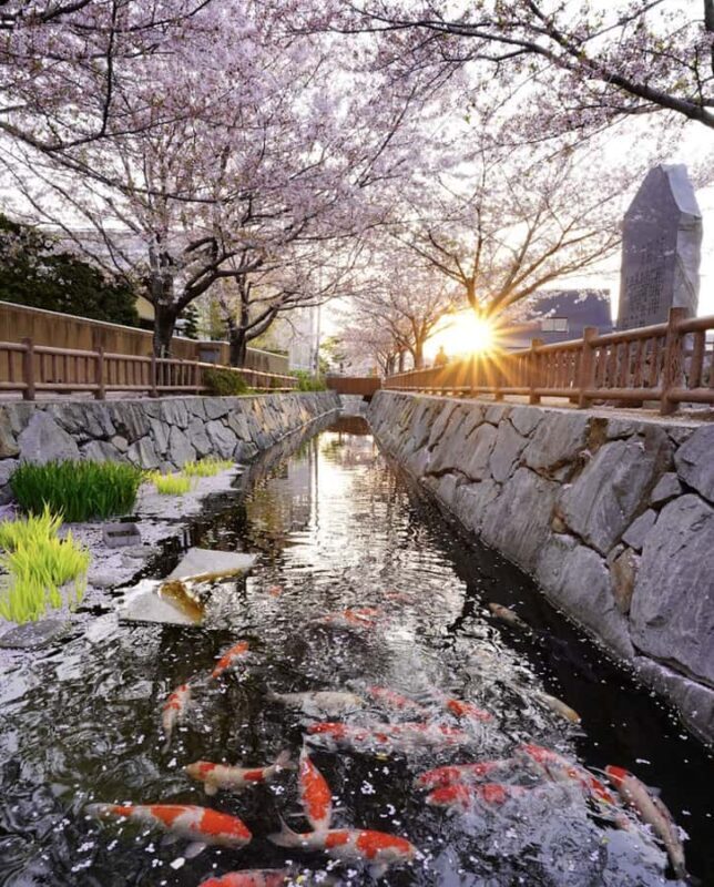 Takamatsu/Kagawa Private Custom Tour with Local Guide - Key Points