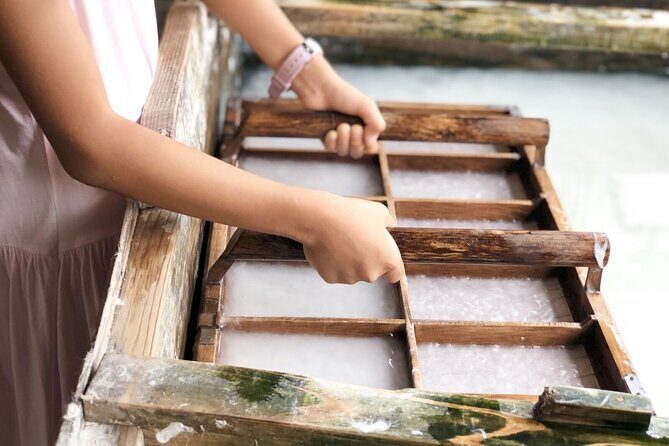 Takayama Explore Gokayama and Shirakawa go - Who should consider this tour?