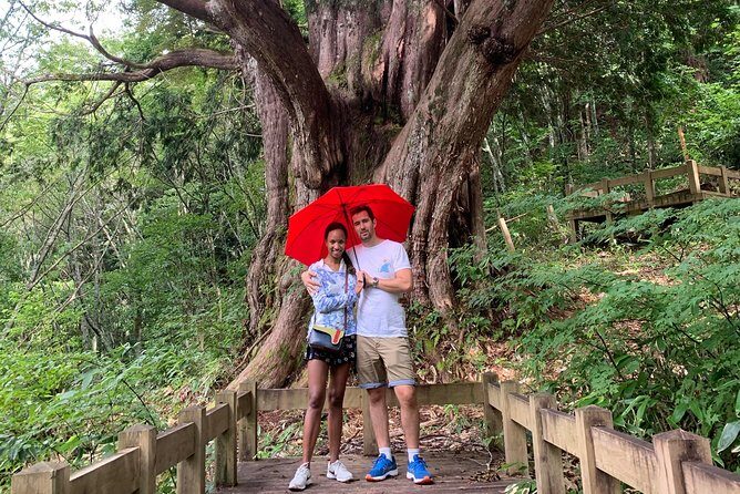 Takayama & Shirakawago 3 days tour - In-Depth Breakdown of the Itinerary