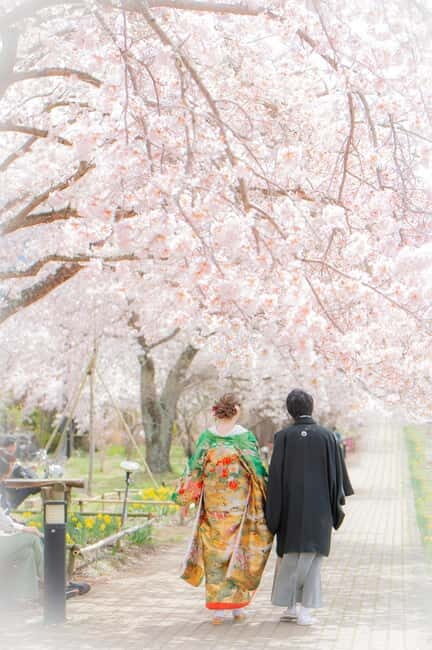 Take a Photo in a Kimono with Mt. Fuji in the Background - Who Will Love This Tour?