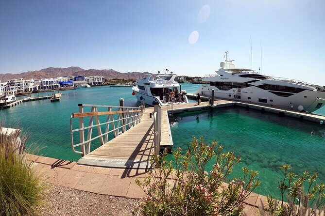 Take advantage of a half-day boat dive experience in Red sea of Aqaba. - Key Points